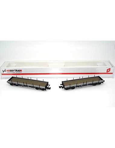 HOBBYTRAIN DB, SET DE 2 VAGONES PLATAFORMA CON TELEROS TIPO Remms 665