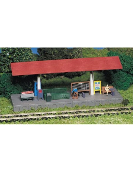 BACHMANN STATION PLATFORM