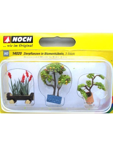 NOCH 3 ORNAMENTAL PLANTS IN POTS