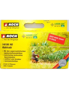 NOCH KOHLRABI