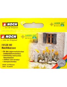 NOCH NACHTKERZEN