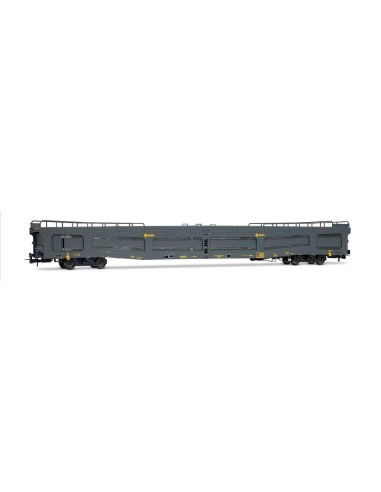 ELECTROTREN RENFE, PLATAFORMA AUTOEXPRESO DDMA, DECORACIÓN GRÍS, CON REJILLAS ANTIVANDÁLICAS