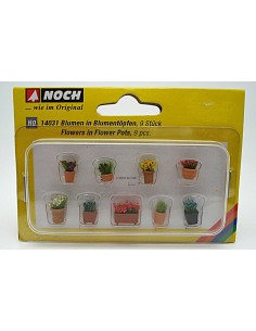 NOCH BLUMEN IN BLUMENTÖPFEN