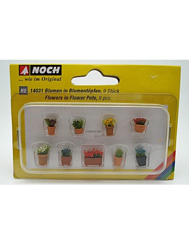NOCH FLORES EN MACETAS