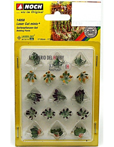 NOCH PLANTAS DE JARDÍN