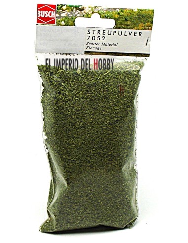 BUSCH GRASS